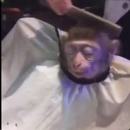 56 avatar