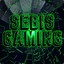 SebisGaming