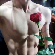 你是凛冬盛开的玫瑰