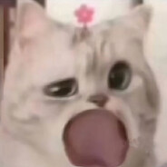 弹道偏左何晨光