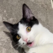 起什么名字好呢