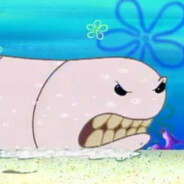 Luanne Platter