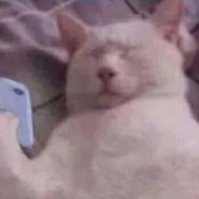 白云山夏桑菊颗粒