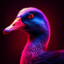 Goose