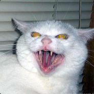 Weed - steam id 76561197961357792