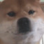 吗喽br