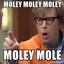 Moley