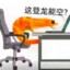 柴郡猫Ccc