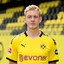 brandt