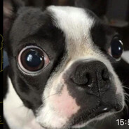 СКАМИЛ В ВАЦАПЕ - steam id 76561199032858145