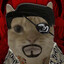 Cattz &gt;:3