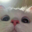 Aiku