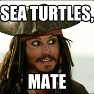 Sea turtles, mate