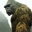 Monkiii