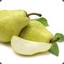 Plentiful Pears