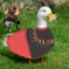 The GREAT Goose