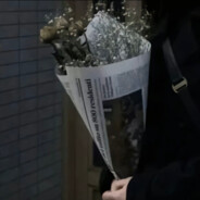 单纯腼腆不好骗