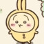 usagi