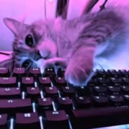 xt | -v prioritete??