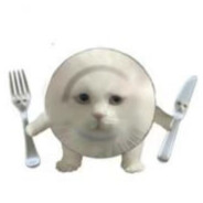 小猫你可以吃和成天下