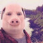 John Pork