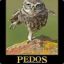 PerforaTHOR