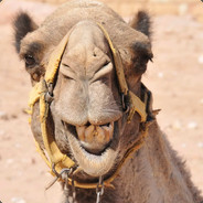 JamalTheCamal