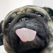 бикиниМОПСОН