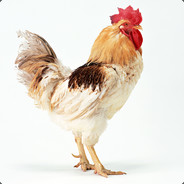 奶奶养了两只鸡