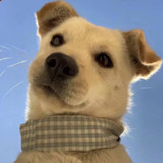 安妮安妮大安妮