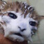 TremendousCream