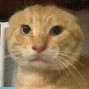 雨好大我没有伞