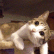 比游戏玩不了一点