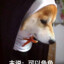 豫S·88888