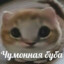 ЧУМОННАЯ БУБА