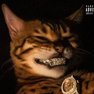 katsuugariii - steam id 76561199121154714