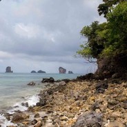 来嘛！跟我一起死