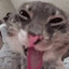 Salutations