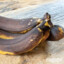 TreueBanane