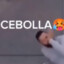 MIELDA LOCO CEBOLLA