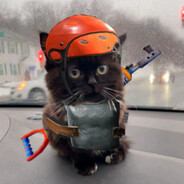 КоТЭ_пОдН0РкОтОЙ