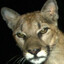 abbastair's avatar
