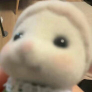 睡不醒꒦ິ^꒦ິ