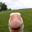 Duckthegod #DVTP#