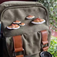 兄弟你知道的我从小就没原体了呜呜呜