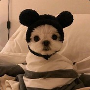 我会摇头你会吗