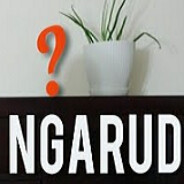 NgaRud - steam id 76561197961159221