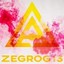 zegrok13