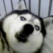 白给老六射你小pipi