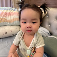 天退星 插翅虎